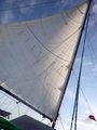 sailing is fun!
