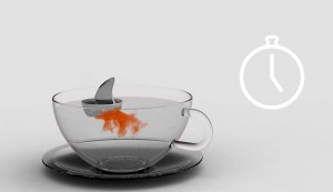 shark_1
