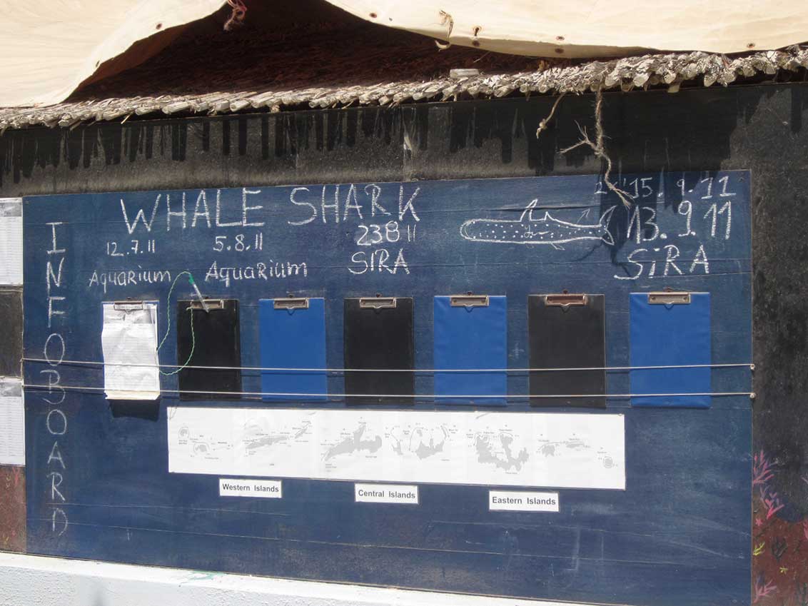 Whaleshark Scoreboard von Guitarfish