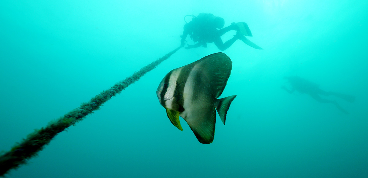 Scuba Diving in Coron, Philippines