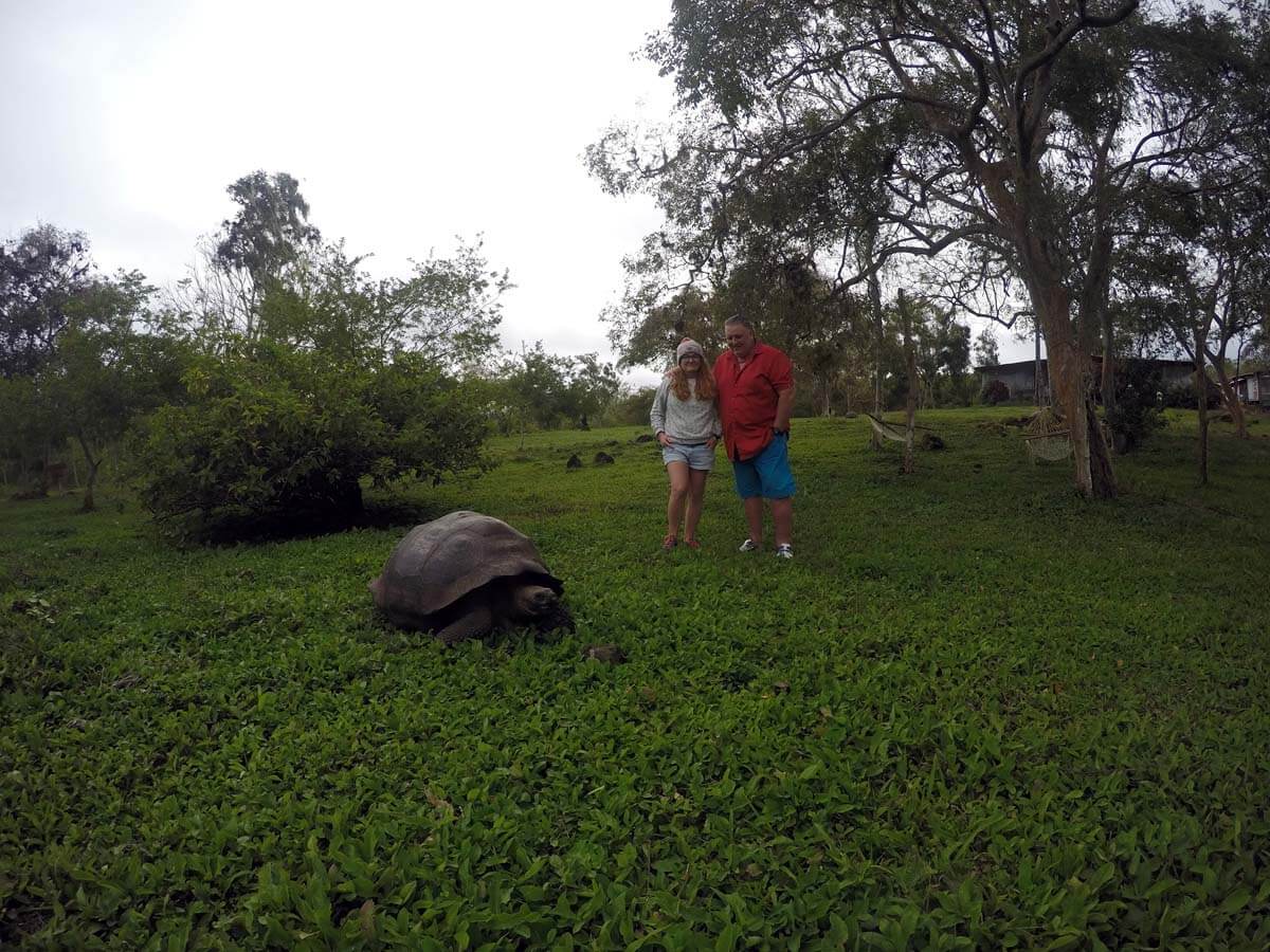 Riesenschildkröten in der El Rancho Manzanillo